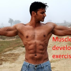1000 muscle development exercise ebooks