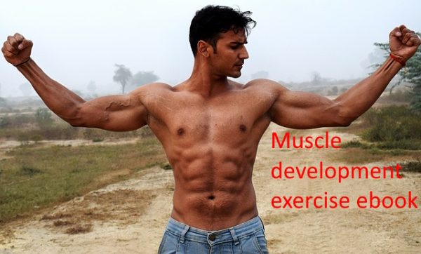 1000 muscle development exercise ebooks