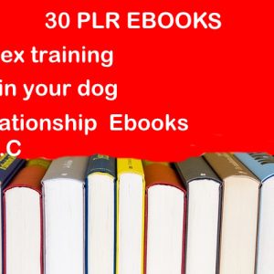 30 PLR Ebooks