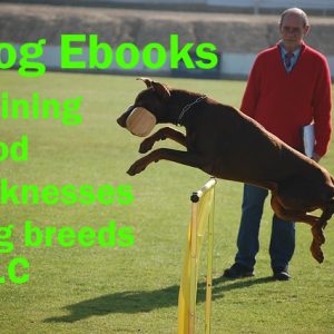 1100 Ebook Dog Training