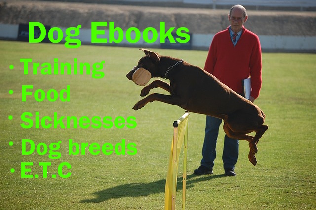 1100 Ebook Dog Training